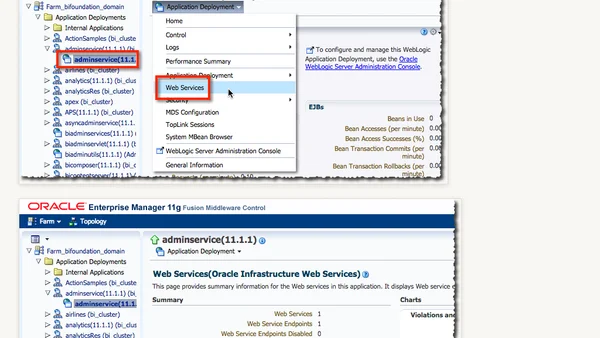 Using the BI Server Metadata Web Service for Automated RPD Modifications